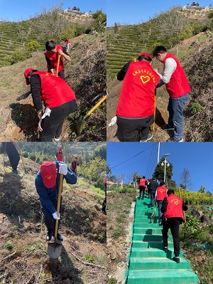植树合照2.jpg