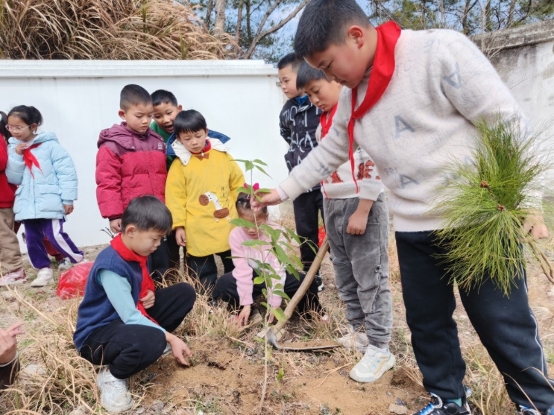 植树.jpg